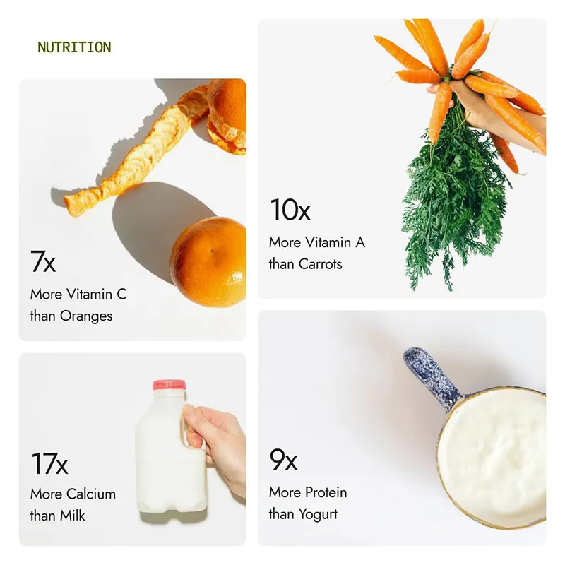 Picture of Moringa Powder