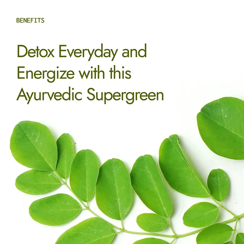 Picture of Moringa Powder