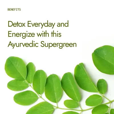 Picture of Moringa Powder