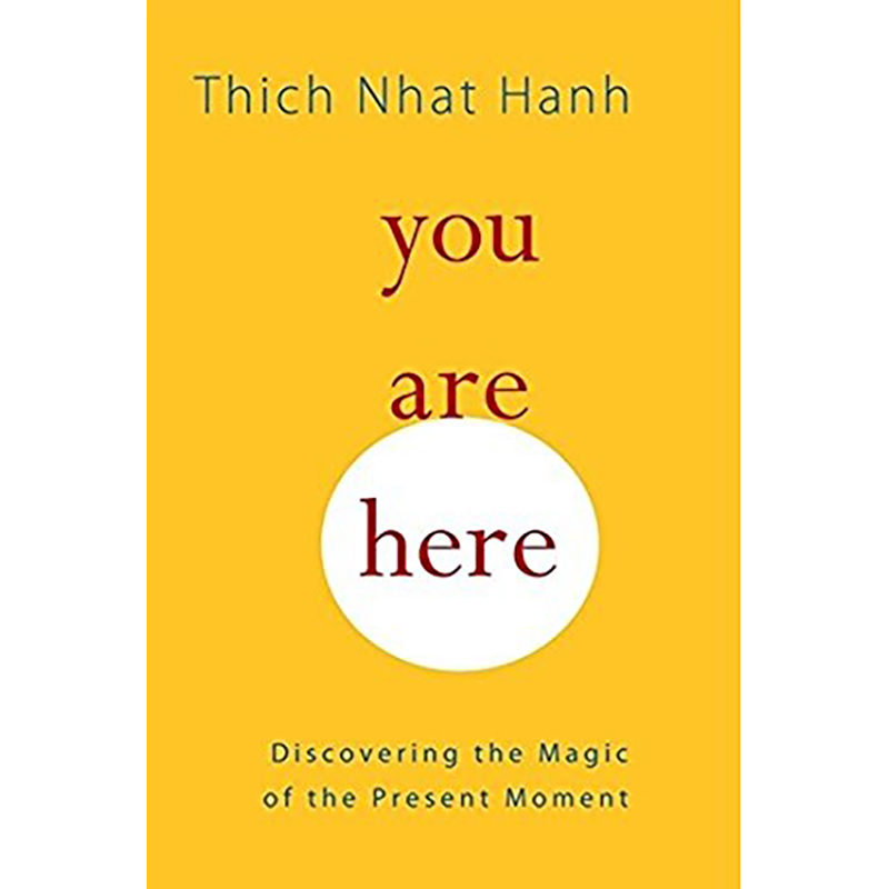 Picture of You Are Here (Paperback)