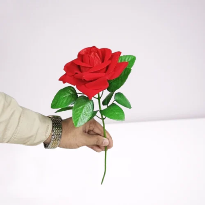 Picture of valentine's day  Gift Rose Flower