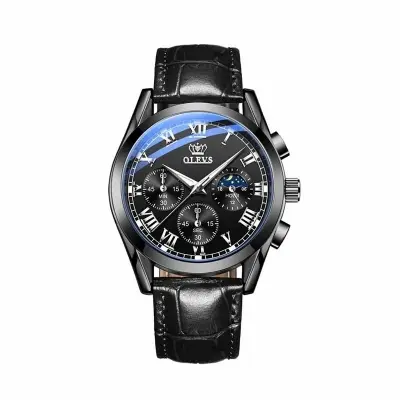 Picture of OLEVS 2876 Men’s Quartz Watch