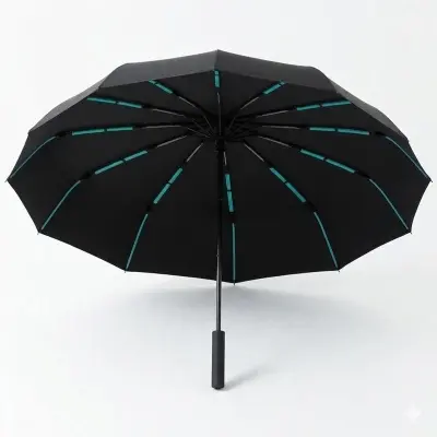 Picture of BMW Classic Design 12 Ribs Umbrella | MNK SHOP (Black)