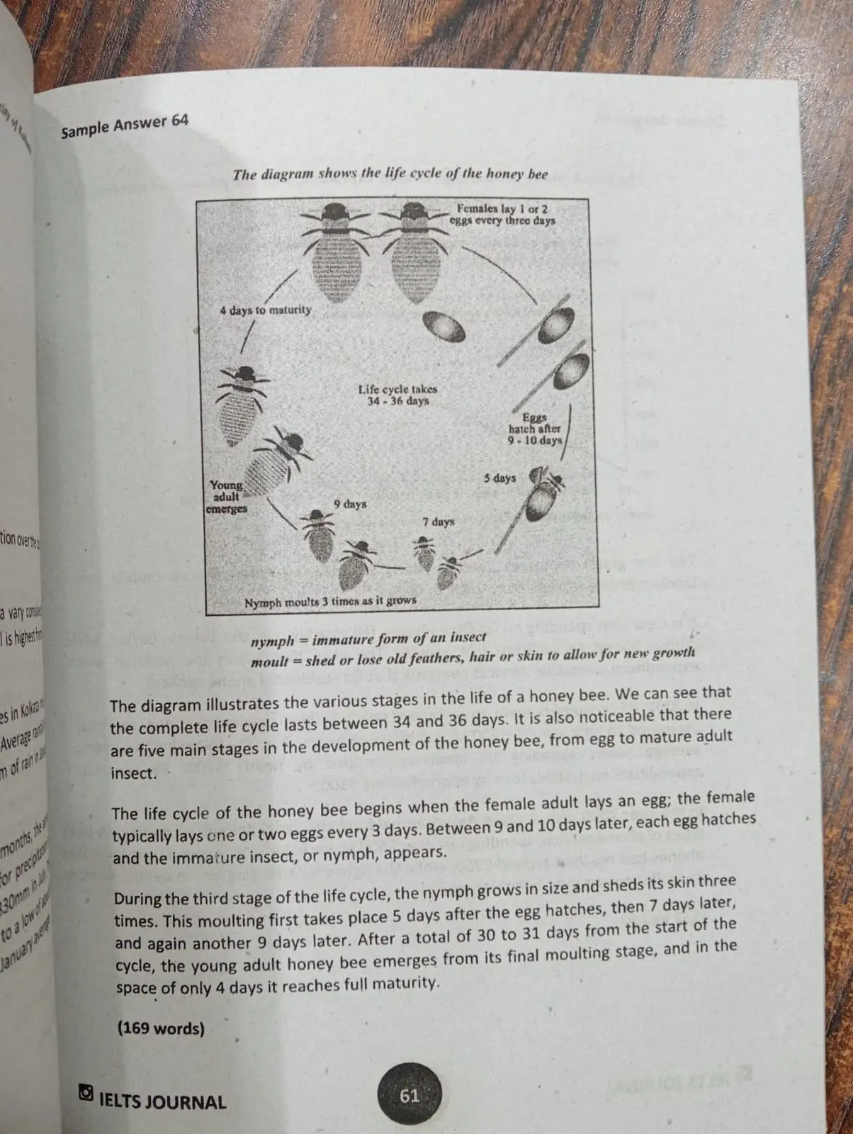 Picture of IELTS Journal Writing Task 2