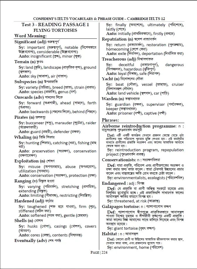 Picture of Cambridge IELTS Vocabulary and Phrases Guide
