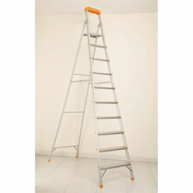 Picture of House Hold Ladder Classic 10 Step