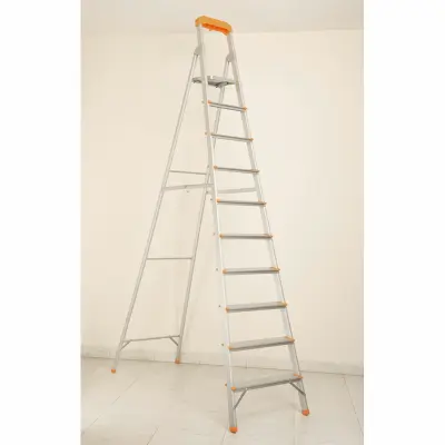 Picture of House Hold Ladder Classic 10 Step