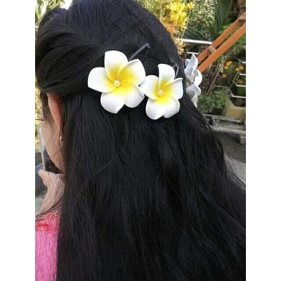 Picture of Hair Clip For Women Hair Clip For Girls ladies female Womens 12pcs - Multicolor