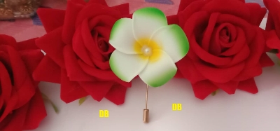 Picture of Hijab pin Niqabi Lovers Hijab pin