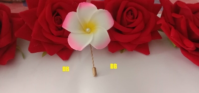 Picture of Hijab pin Niqabi Lovers Hijab pin