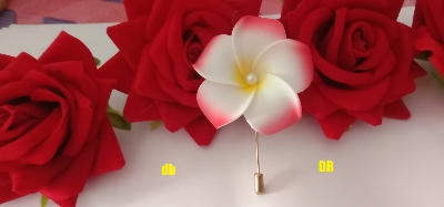 Picture of Hijab pin Niqabi Lovers Hijab pin