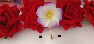 Picture of Hijab pin Niqabi Lovers Hijab pin