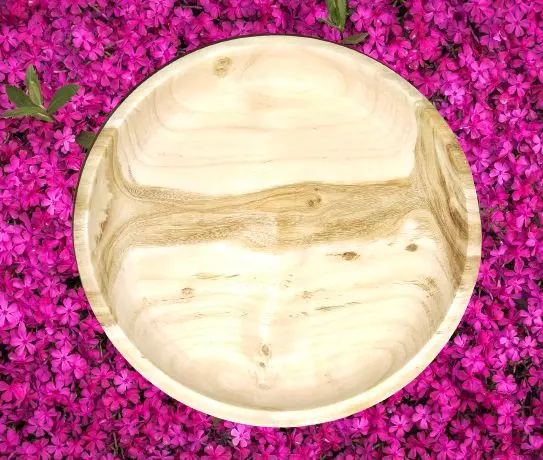 Picture of Hand Made 12 Inch  Wooden plate ,Serving Tray For  Restaurant ,Hotel and Home ( Without Color) - Multicolor