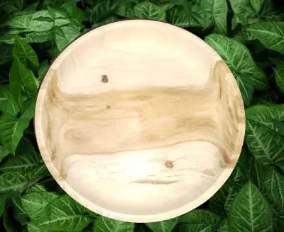 Picture of Hand Made 12 Inch  Wooden plate ,Serving Tray For  Restaurant ,Hotel and Home ( Without Color) - Multicolor
