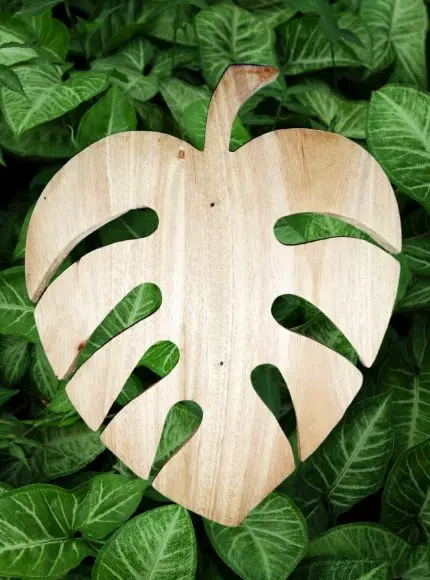 Picture of Traditional look Wooden hotpot trivets with center natural mehuguni  wood pot holders heat resistant trivet set for selling - Multicolor