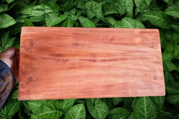 Picture of Classic Wooden  16 Inch  Long Serving Tray  with Steel  Handle - Multicolor