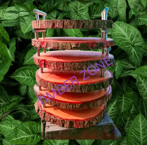 Picture of High Quality Wooden Slice Tea coffee water serving  Tray With Handle - Multicolor