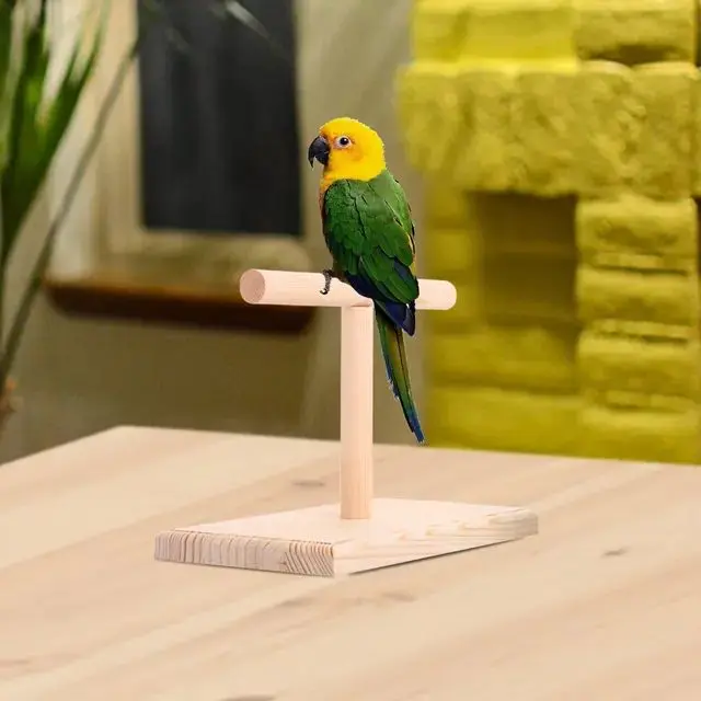 Picture of wooden pet bird stand T stand perch 1 pcs - Multicolor