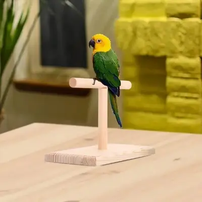 Picture of wooden pet bird stand T stand perch 1 pcs - Multicolor