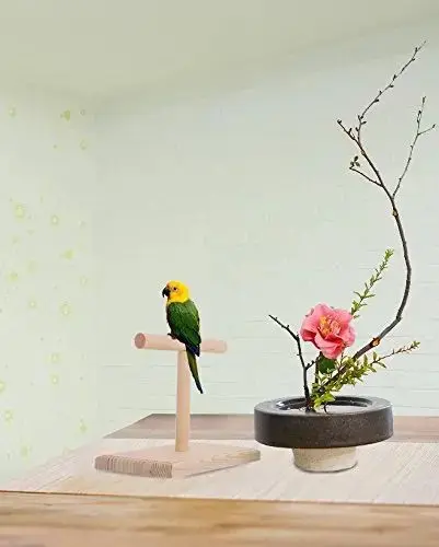 Picture of wooden pet bird stand T stand perch 1 pcs - Multicolor