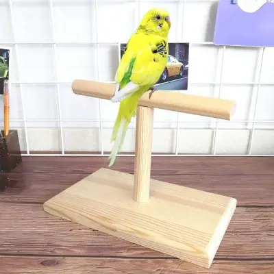 Picture of wooden pet bird stand T stand perch 1 pcs - Multicolor