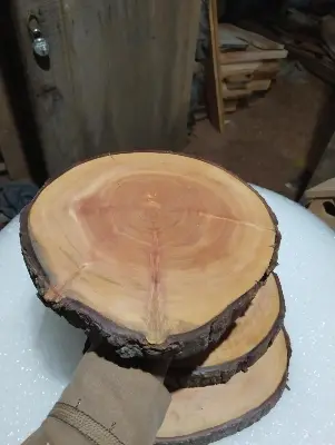 Picture of wooden slices chopping board with bark ( 7 inch ) - Multicolor