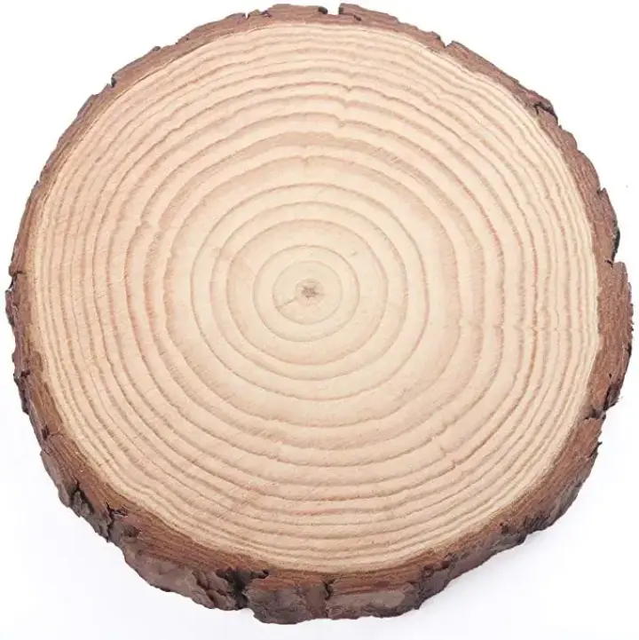 Picture of Big size  Round Wood Tree Slices Plaque Slabs Home Decor Large Wooden Circles With Bark  and polished ( 16 inch round ) - Multicolor