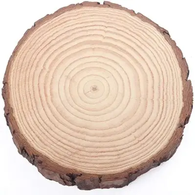 Picture of Big size  Round Wood Tree Slices Plaque Slabs Home Decor Large Wooden Circles With Bark  and polished ( 16 inch round ) - Multicolor