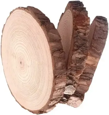 Picture of Big size  Round Wood Tree Slices Plaque Slabs Home Decor Large Wooden Circles With Bark  and polished ( 16 inch round ) - Multicolor