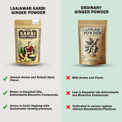 Picture of Organic karbi ginger powder -100gm