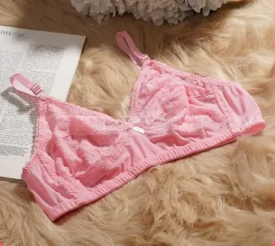 Picture of premium quality chicken net bra - Multicolor