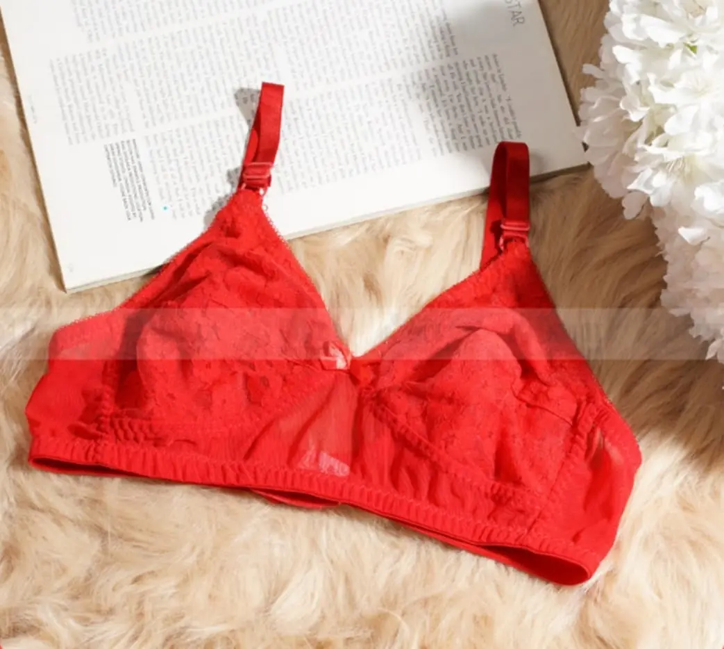 Picture of premium quality chicken net bra - Multicolor