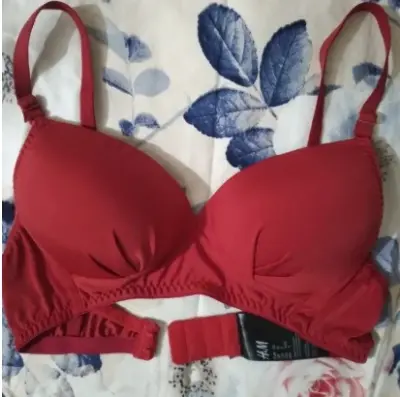 Picture of 1 peace  Cotton Foam Bra | Wireless Bra For Women | multicolor Solid Color - Multicolor