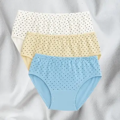 Picture of 4 Pieces Print Premium Panty Stylish panty cotton panty comfortable panty flower print panty TWPA01 - Not Specified