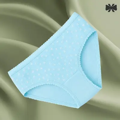 Picture of 4 Pieces 4 Color China Imported Premium Panty Stylish panty cotton panty comfortable panty flower print panty - Multicolor