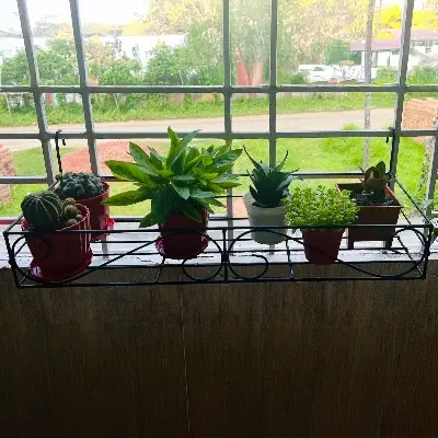 Picture of Metal Grill Rack Hanging Planter Pot 24x8x4 inches -1 Pcs. (Black)