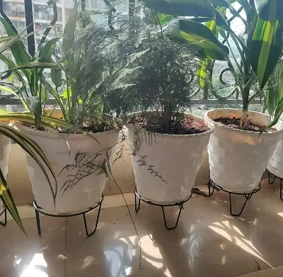 Picture of Round Plant Stand for Flower Pots at HomeOutdoor / Indoor Plants Gamla Stand  For Living room , Balcony and Garden Decor  Rust Free Metal(3 piece) (Black)