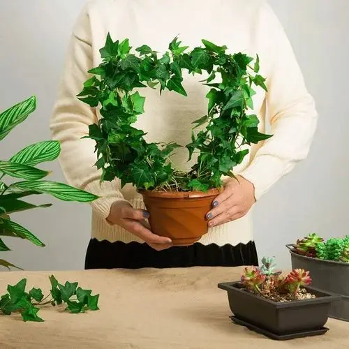 Picture of Black HEART & Circle SHAPE GARDEN Climbing Plant STAKES SET OF 2 (Black)