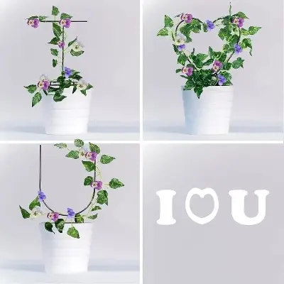 Picture of Creative Metal Garden Trellis for Climbing Plants, Black Coating Rust-Proof Potted Plants Climbing Holder Rack, Plants Support Used for Garden Stem Vine Creeping Decoration (Black)