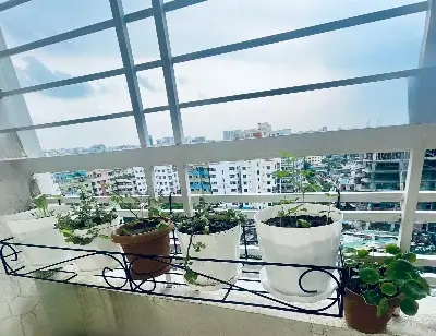 Picture of Metal Grill Planter rack 36×8×4inch (Black)