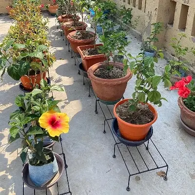 Picture of  Stand For Planter indoor and Outdoor Gamla Planters - 24 inches for Use Plant Container Set (Pack of 2) (Black)