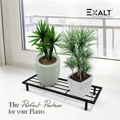 Picture of 24 inches Metal Stand for Plants, Plant Stands for Pots Rectangular Metal Plant Stand, Pot Stand for Indoor plants &Outdoor Use in Your Home and Garden (Pack of 2) (Black)