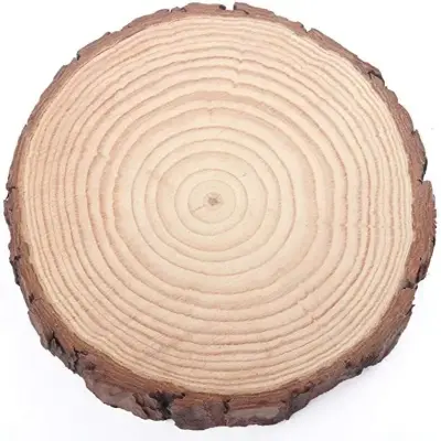 Picture of Big size  Round Wood Tree Slices Plaque Slabs Home Decor Large Wooden Circles With Bark  and polished ( 16 inch round ) - Multicolor