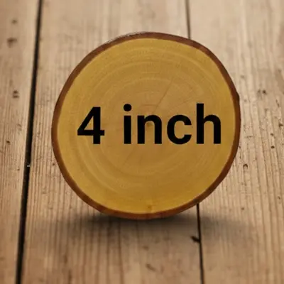 Picture of wooden slice with bark ( 4 inch ) - Multicolor