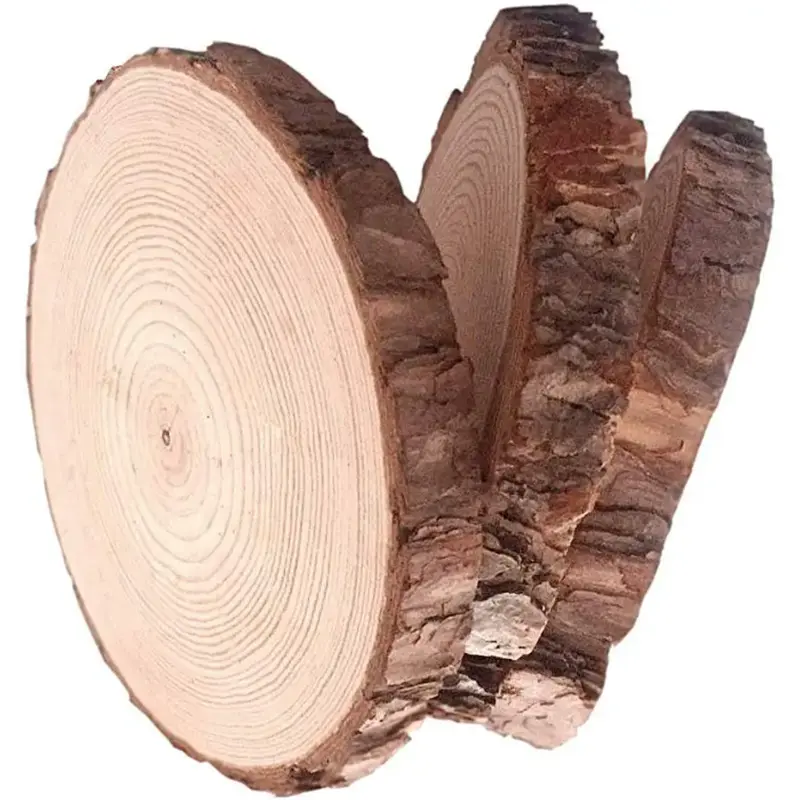 Picture of Big size  Round Wood Tree Slices Plaque Slabs Home Decor Large Wooden Circles With Bark  and polished ( 16 inch round ) - Multicolor