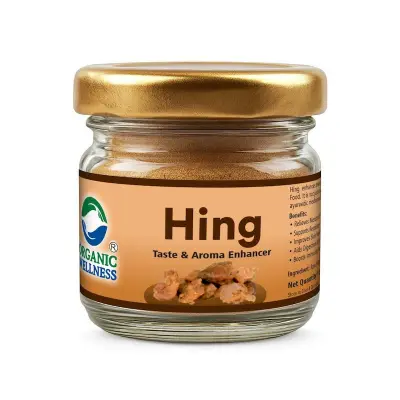 Picture of hing - 5gm
