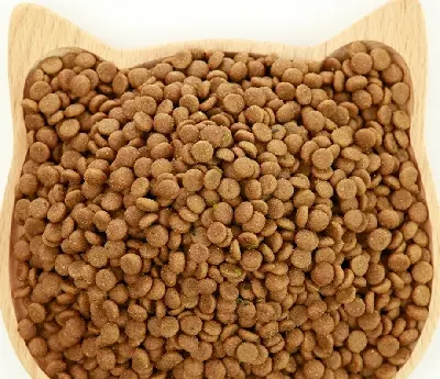 Picture of Loose Cat Food for Adult Cats 500 GM - Multicolor