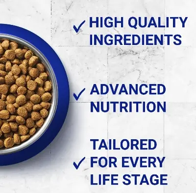 Picture of Loose Cat Food for Adult Cats 500 GM - Multicolor