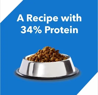 Picture of Loose Cat Food for Adult Cats 500 GM - Multicolor