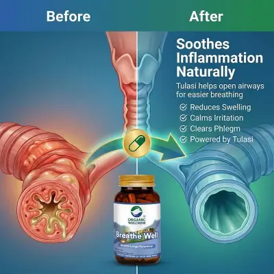 Picture of breath well - 90 capsule